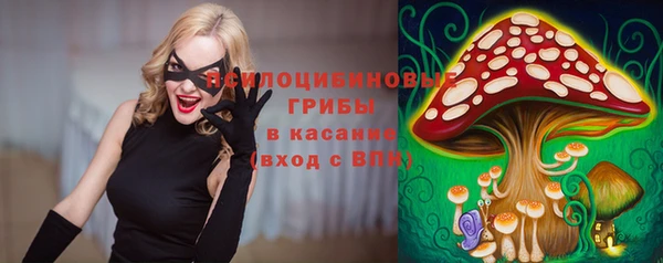 спиды Алексеевка