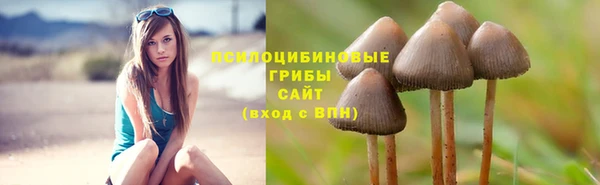 спиды Алексеевка