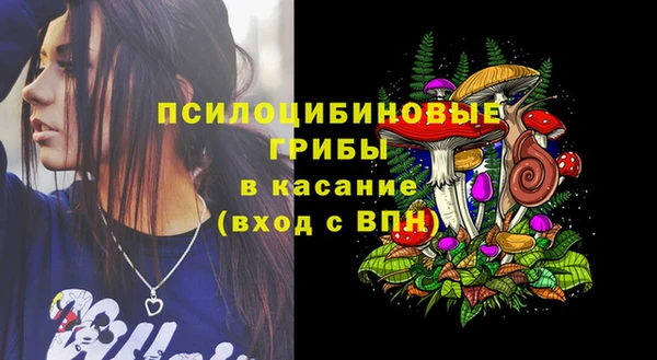 спиды Алексеевка